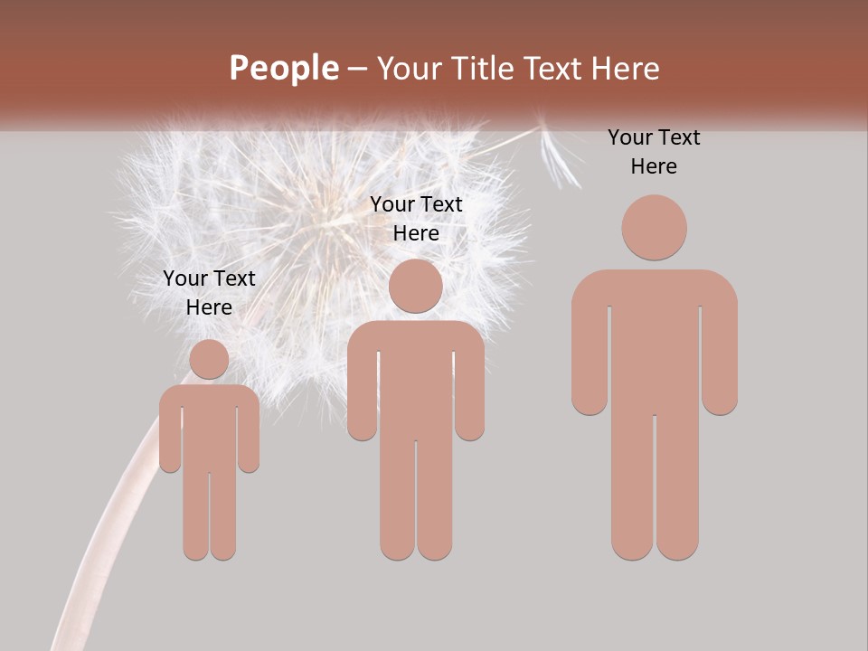 A Dandelion Powerpoint Presentation With A Black Background PowerPoint Template