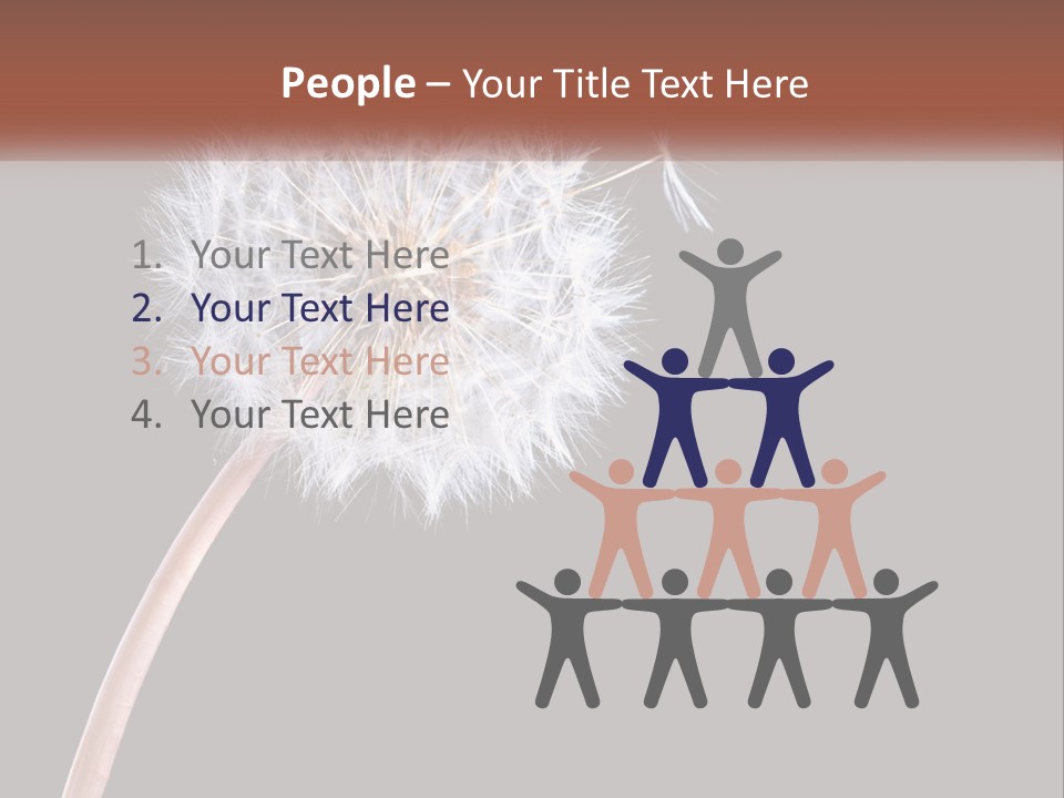 A Dandelion Powerpoint Presentation With A Black Background PowerPoint Template