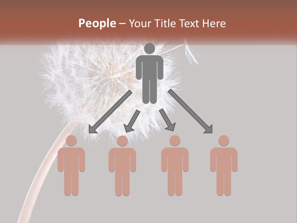 A Dandelion Powerpoint Presentation With A Black Background PowerPoint Template