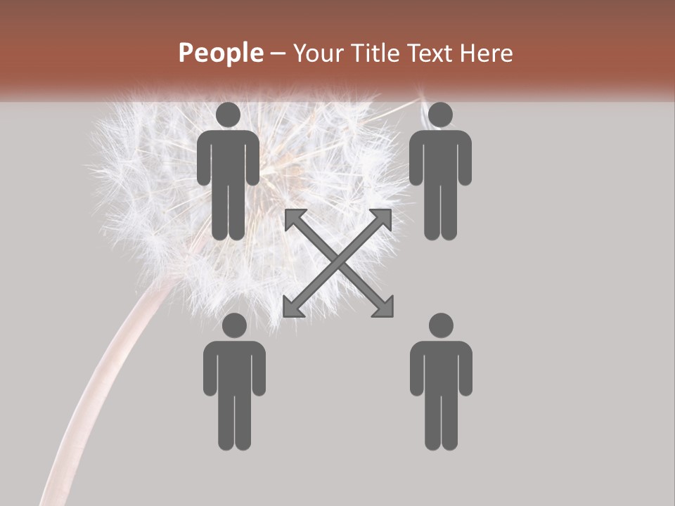 A Dandelion Powerpoint Presentation With A Black Background PowerPoint Template