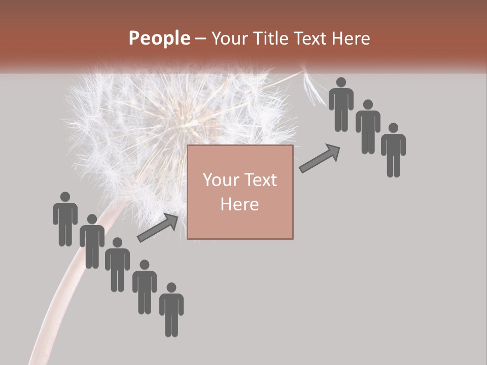 A Dandelion Powerpoint Presentation With A Black Background PowerPoint Template