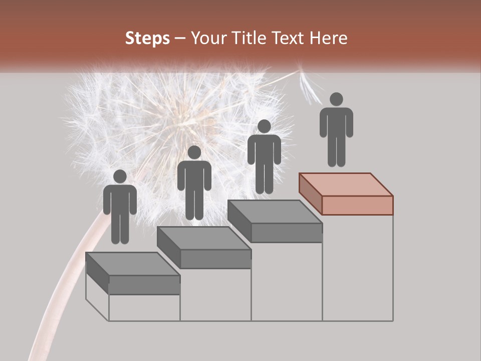 A Dandelion Powerpoint Presentation With A Black Background PowerPoint Template