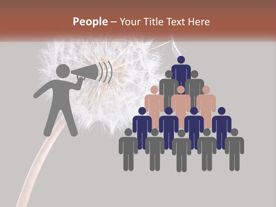 A Dandelion Powerpoint Presentation With A Black Background PowerPoint Template