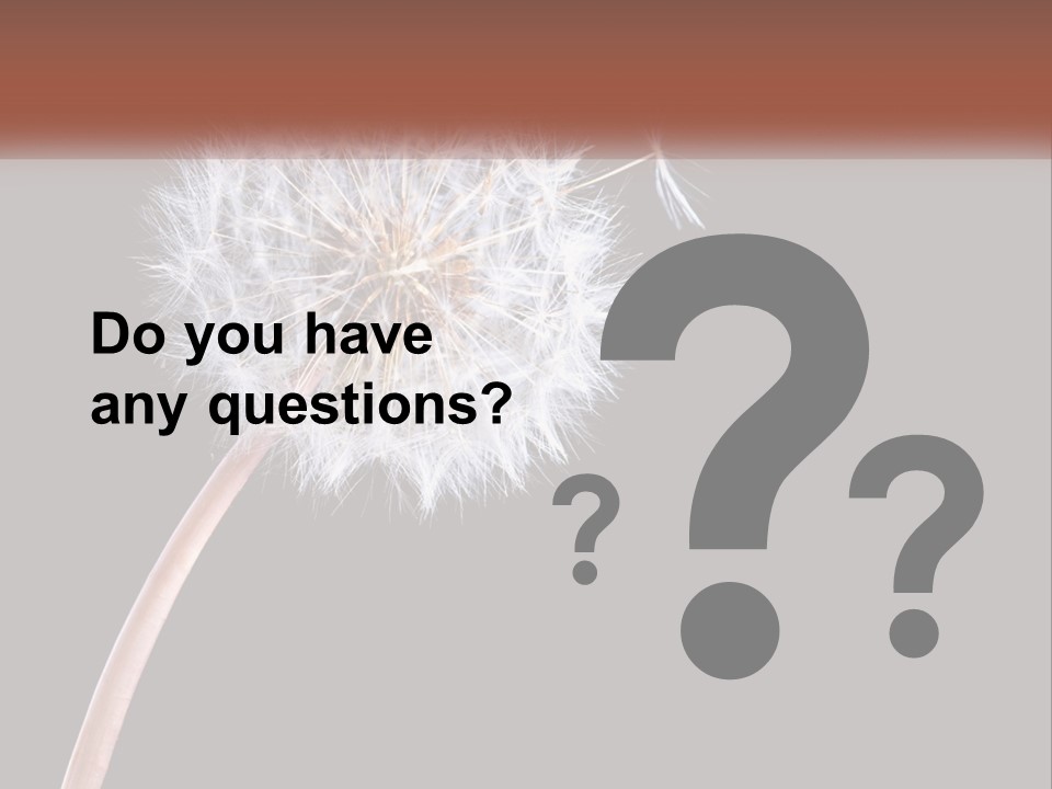 A Dandelion Powerpoint Presentation With A Black Background PowerPoint Template