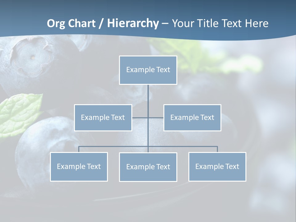 A Bowl Of Blueberries Powerpoint Template PowerPoint Template