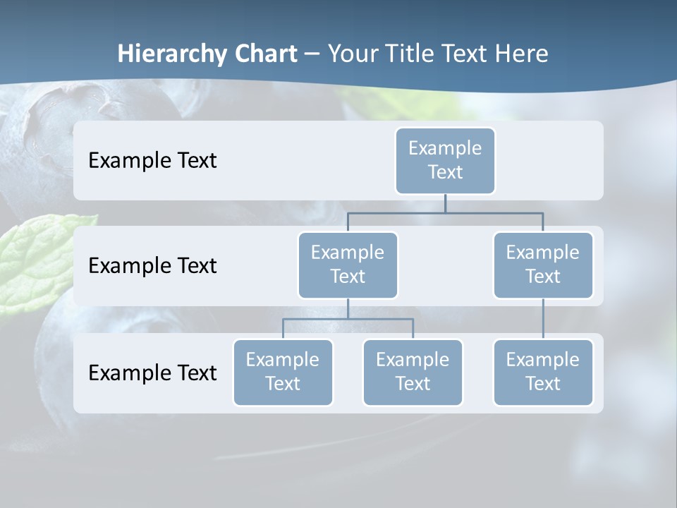 A Bowl Of Blueberries Powerpoint Template PowerPoint Template