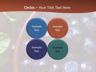 A Bowl Of Blueberries On A Table With Leaves PowerPoint Template