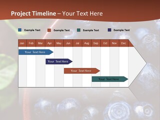 A Bowl Of Blueberries On A Table With Leaves PowerPoint Template