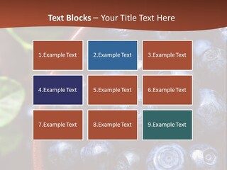 A Bowl Of Blueberries On A Table With Leaves PowerPoint Template