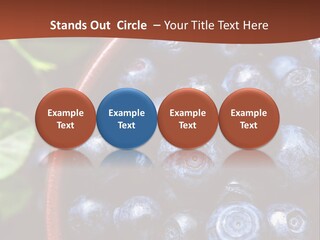 A Bowl Of Blueberries On A Table With Leaves PowerPoint Template