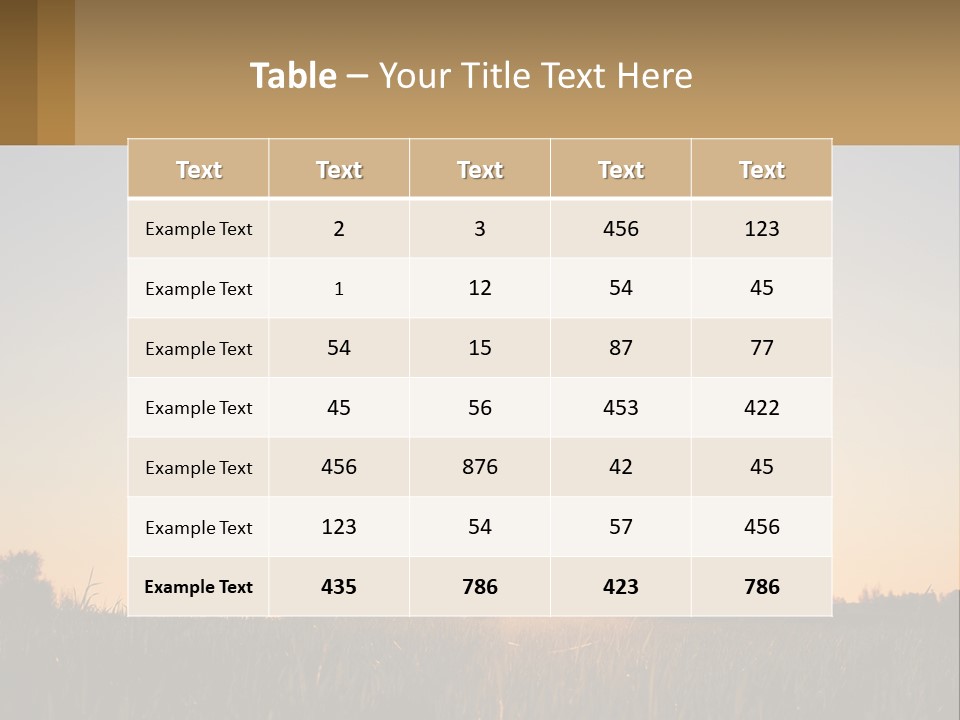 A Woman Holding Balloons In The Air At Sunset PowerPoint Template