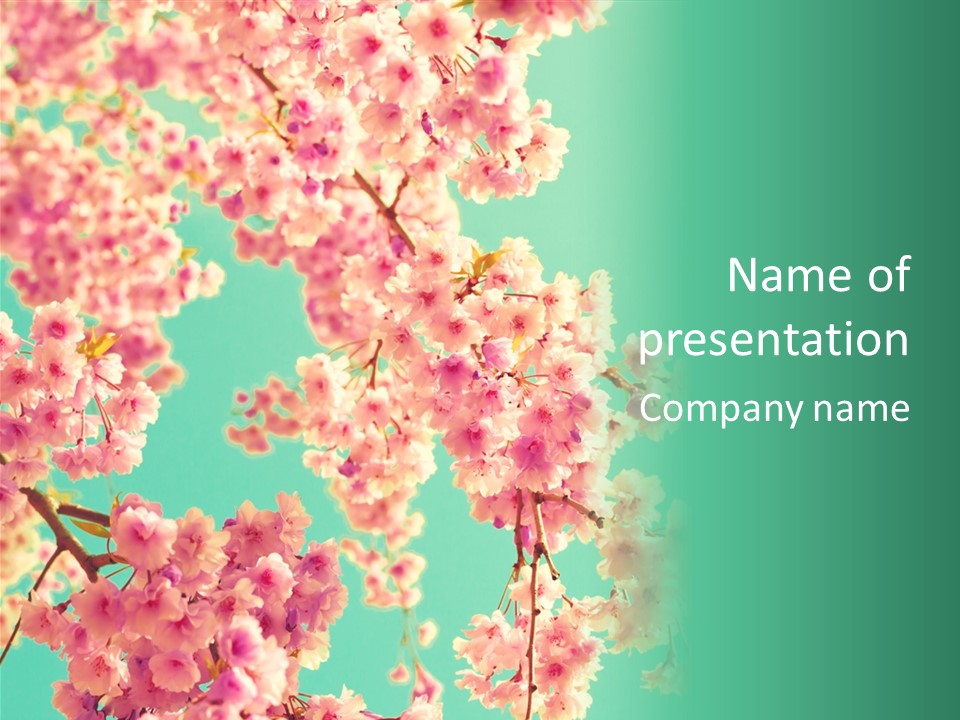 Pink Flowers On A Green Background Powerpoint Template PowerPoint Template