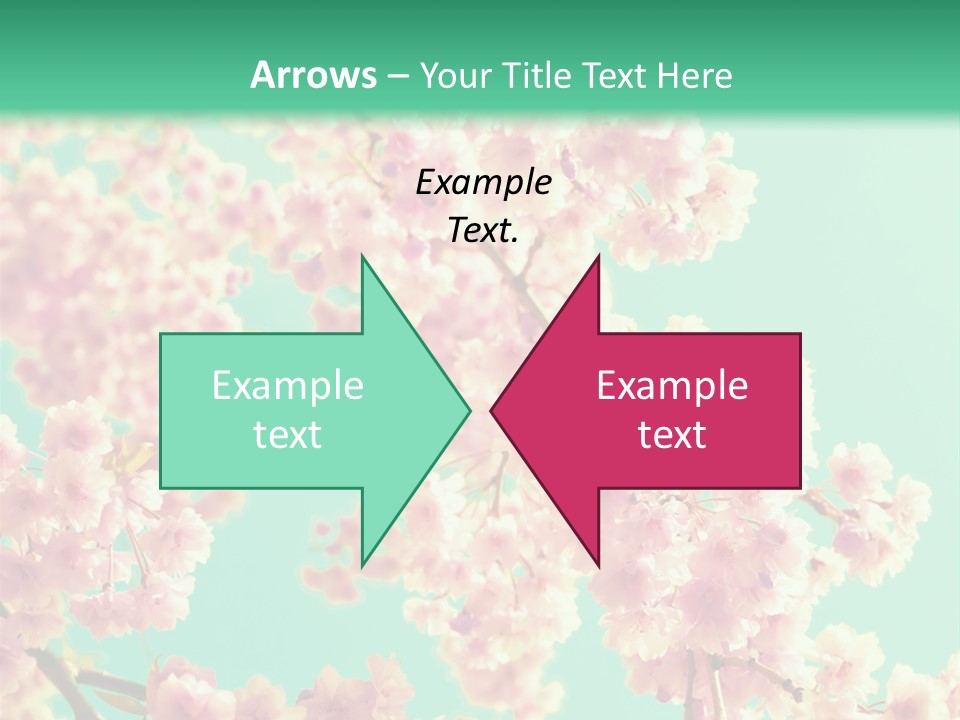 Pink Flowers On A Green Background Powerpoint Template PowerPoint Template