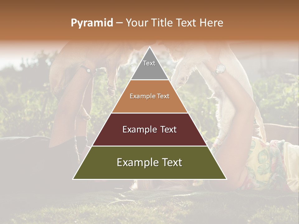 A Person Laying On The Ground With A Dog PowerPoint Template