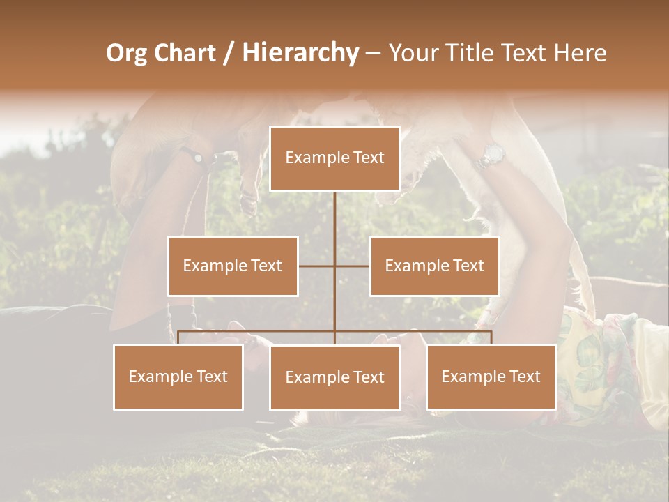 A Person Laying On The Ground With A Dog PowerPoint Template