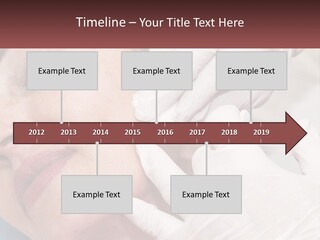 A Woman Getting A Botilage Injection From A Doctor PowerPoint Template
