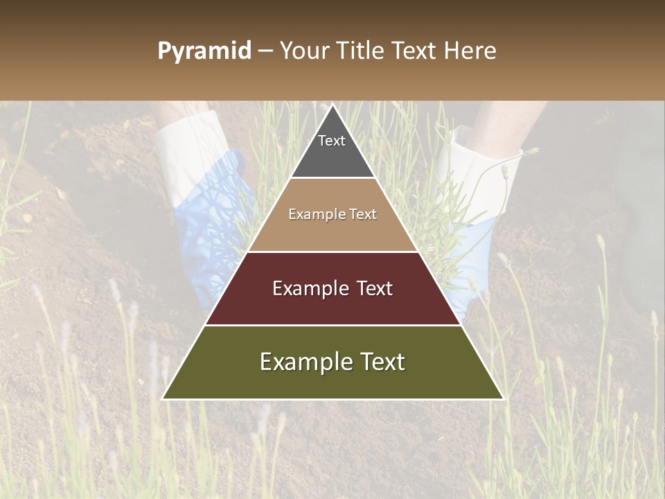 A Person Is Digging In The Dirt With A Shovel PowerPoint Template