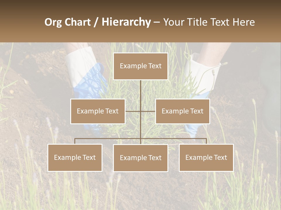 A Person Is Digging In The Dirt With A Shovel PowerPoint Template