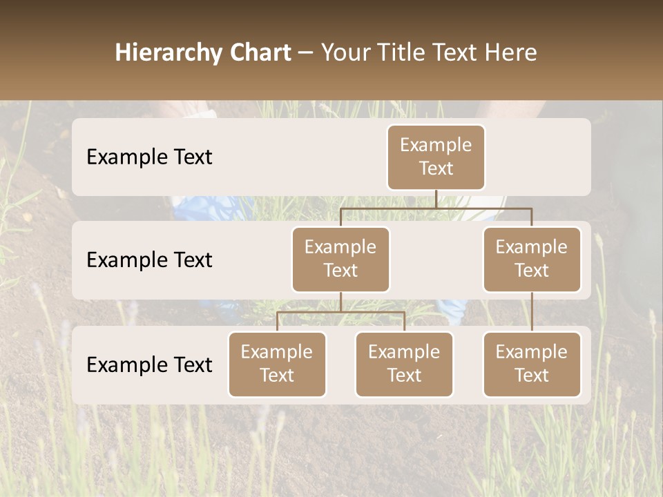 A Person Is Digging In The Dirt With A Shovel PowerPoint Template