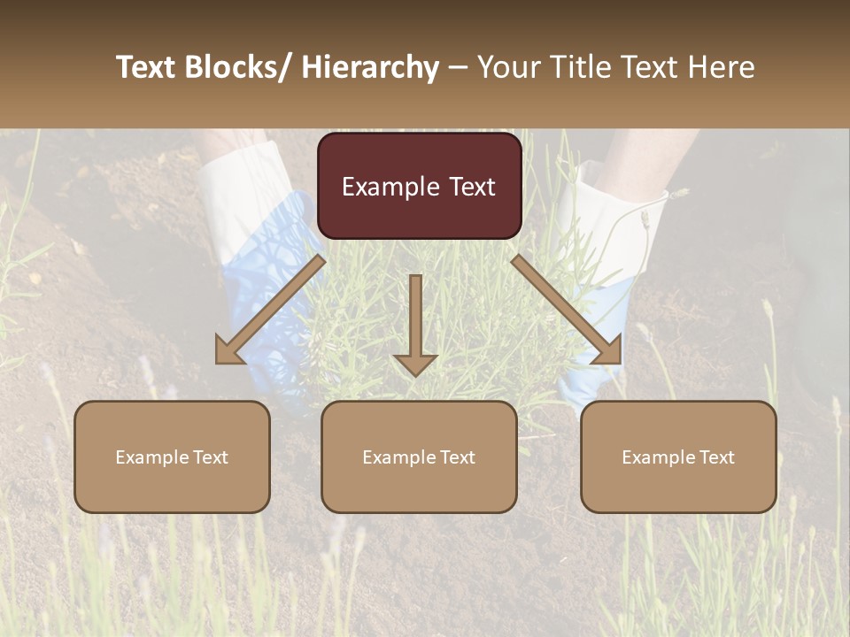 A Person Is Digging In The Dirt With A Shovel PowerPoint Template