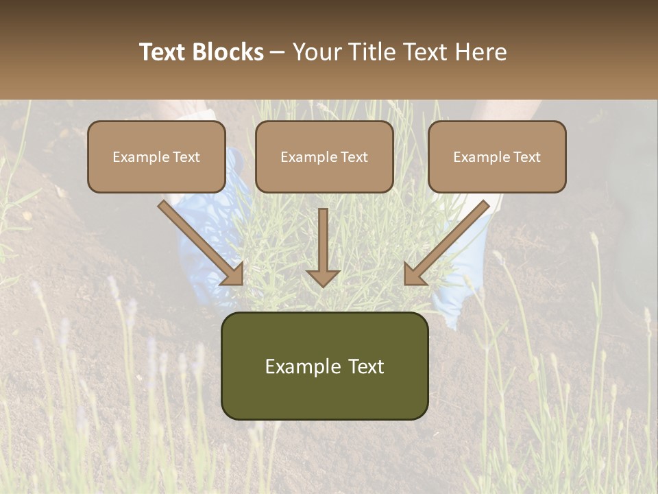 A Person Is Digging In The Dirt With A Shovel PowerPoint Template