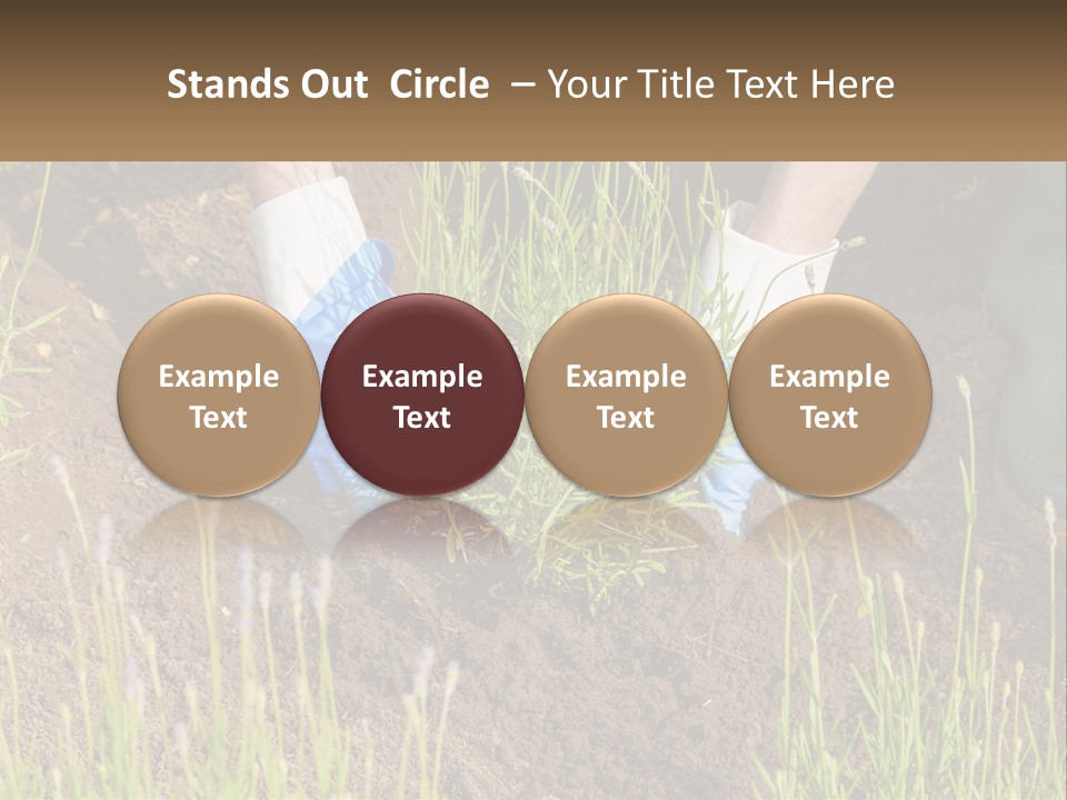 A Person Is Digging In The Dirt With A Shovel PowerPoint Template