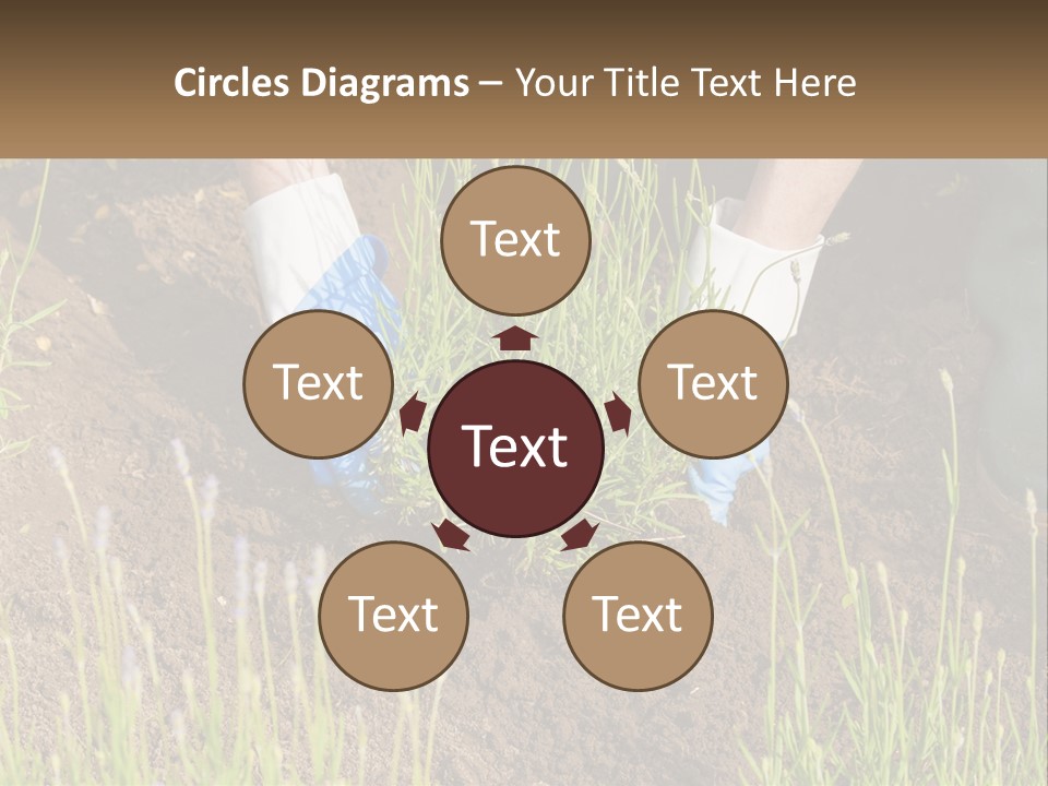 A Person Is Digging In The Dirt With A Shovel PowerPoint Template