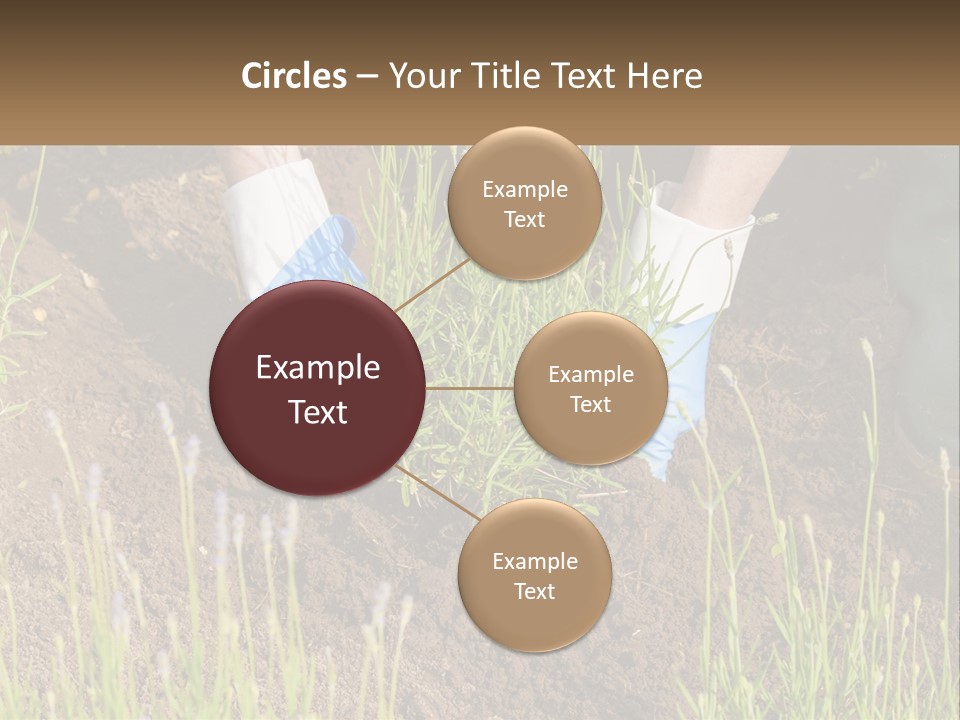 A Person Is Digging In The Dirt With A Shovel PowerPoint Template