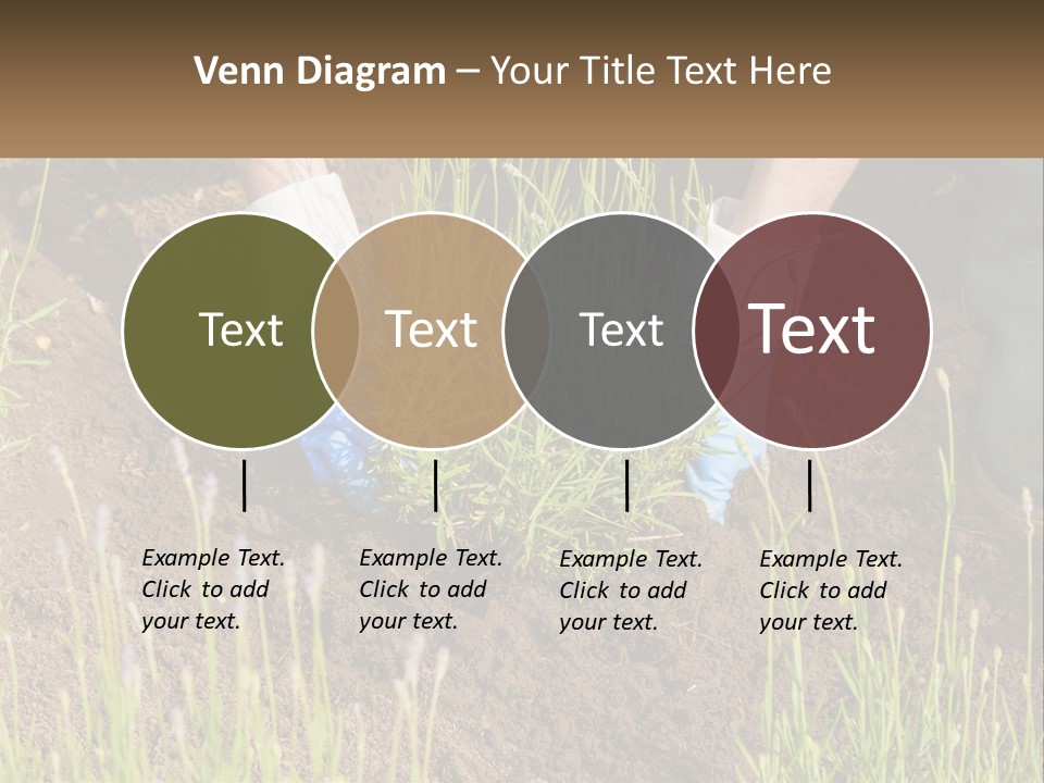 A Person Is Digging In The Dirt With A Shovel PowerPoint Template