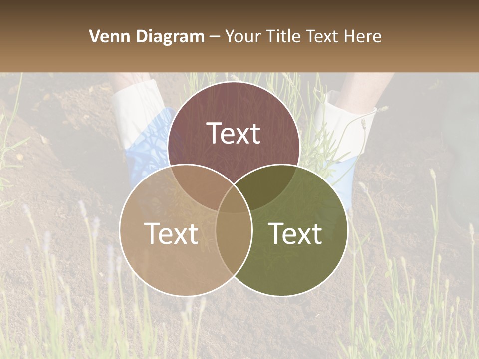 A Person Is Digging In The Dirt With A Shovel PowerPoint Template