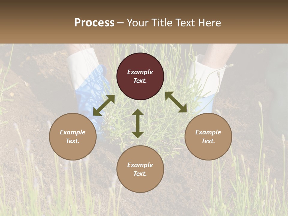A Person Is Digging In The Dirt With A Shovel PowerPoint Template