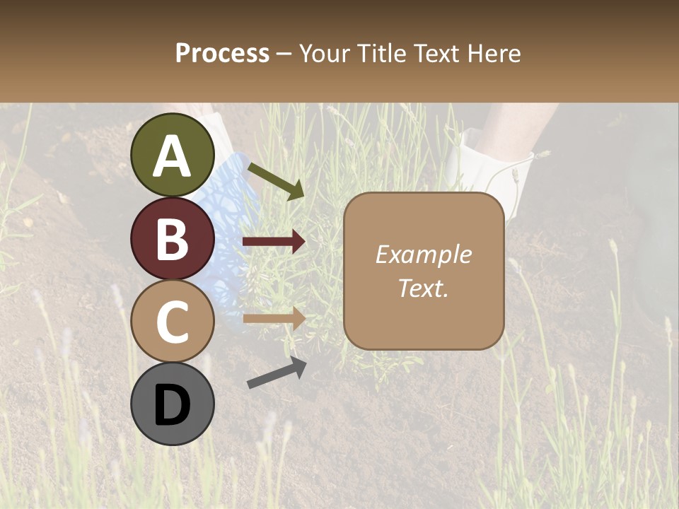 A Person Is Digging In The Dirt With A Shovel PowerPoint Template