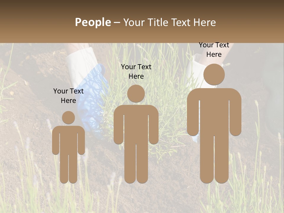 A Person Is Digging In The Dirt With A Shovel PowerPoint Template