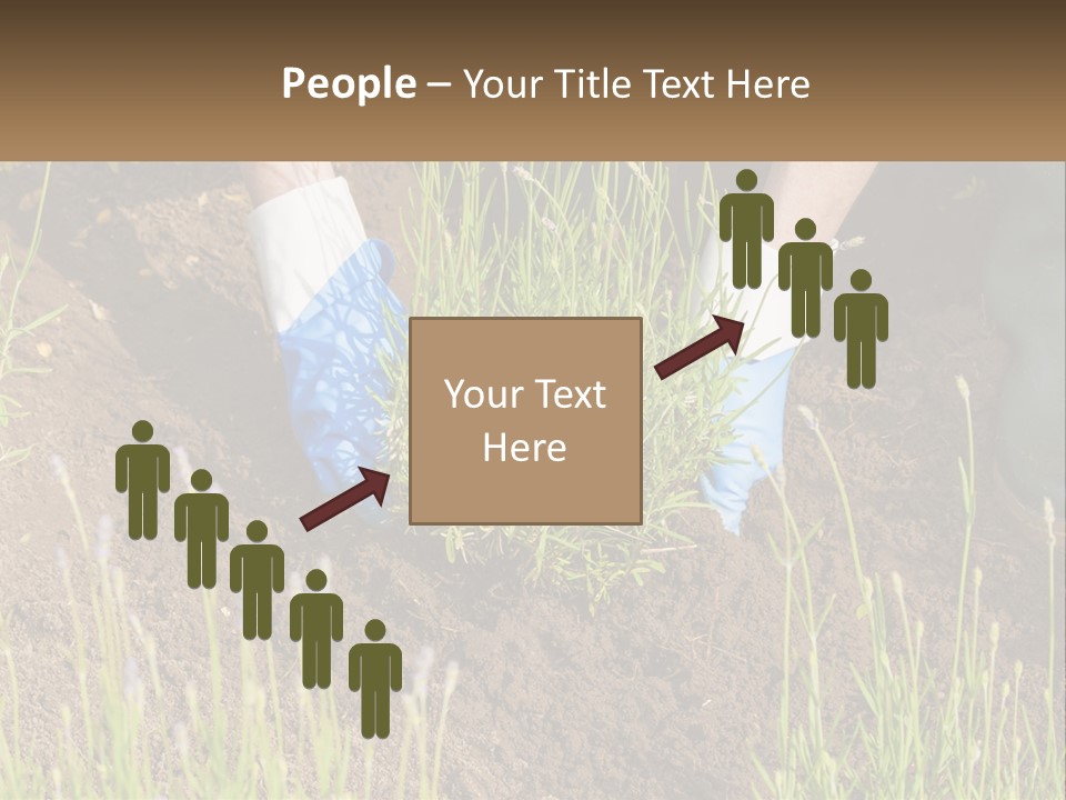 A Person Is Digging In The Dirt With A Shovel PowerPoint Template