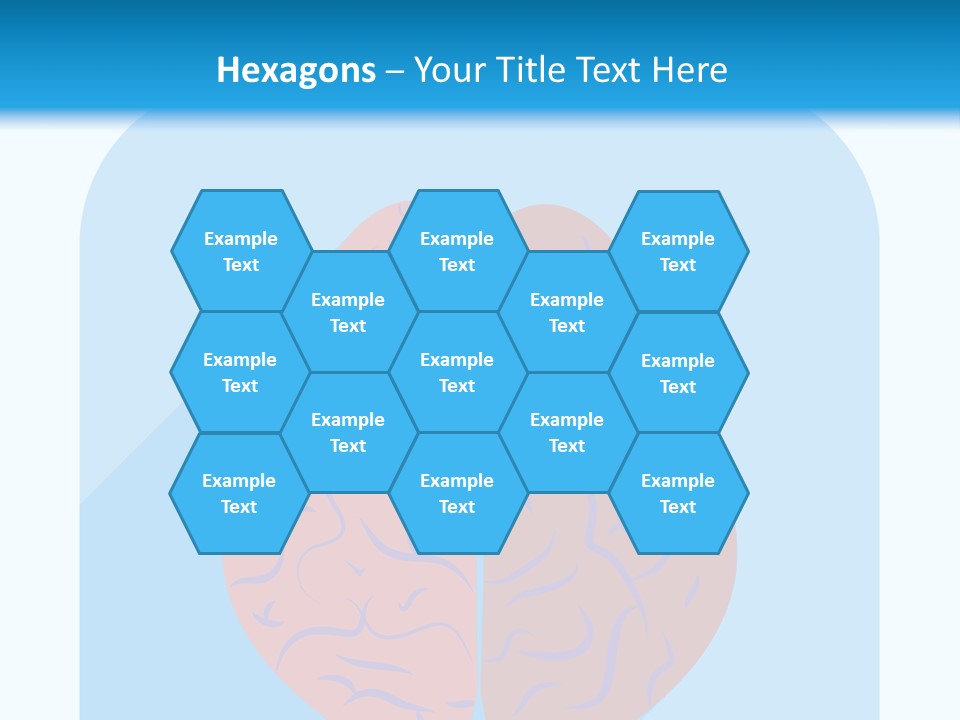 Two Brain Halves With A Long Shadow On A Blue Background PowerPoint Template
