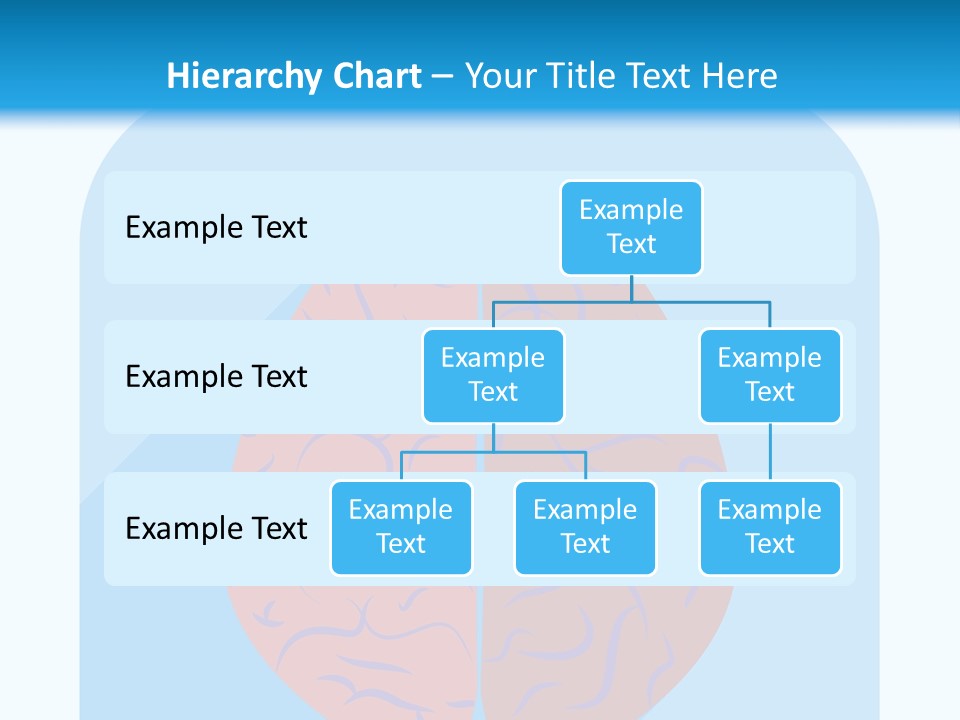 Two Brain Halves With A Long Shadow On A Blue Background PowerPoint Template