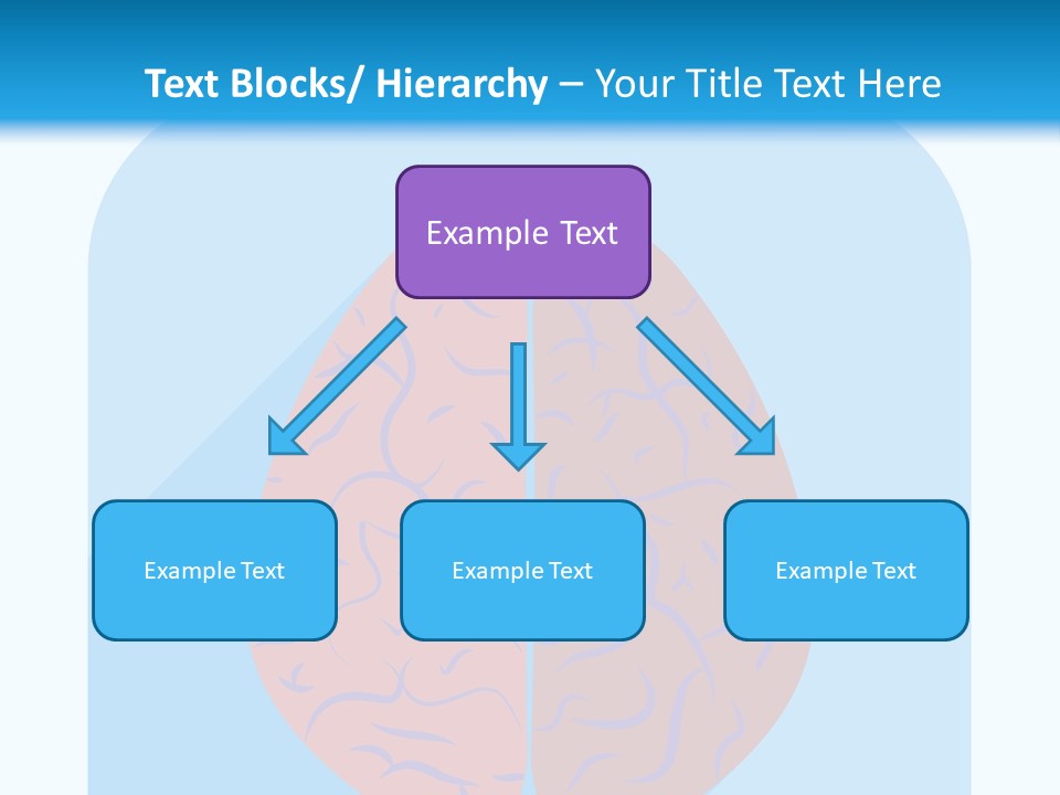 Two Brain Halves With A Long Shadow On A Blue Background PowerPoint Template