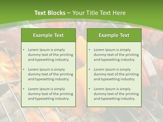 A Bbq Grill With Meat And Vegetables On It PowerPoint Template