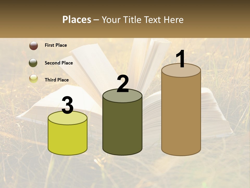 An Open Book Sitting On Top Of A Lush Green Field PowerPoint Template