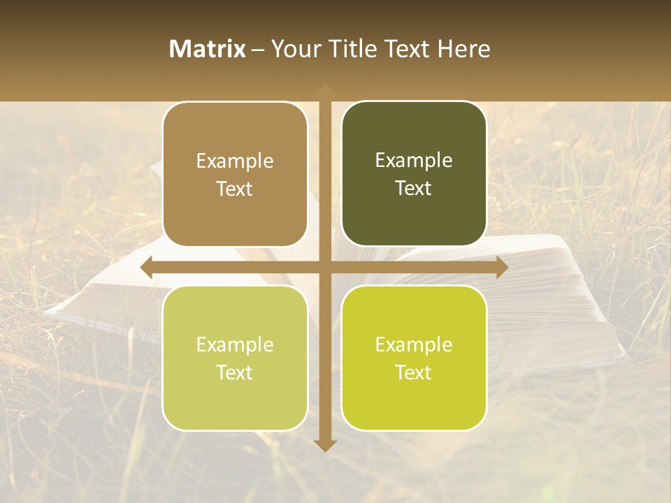 An Open Book Sitting On Top Of A Lush Green Field PowerPoint Template