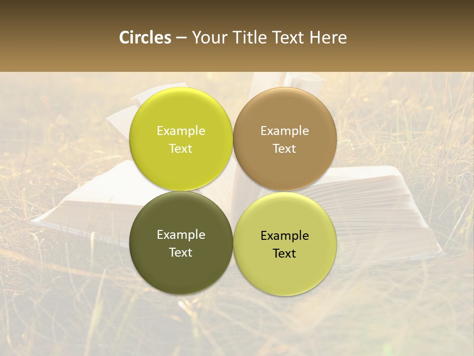 An Open Book Sitting On Top Of A Lush Green Field PowerPoint Template