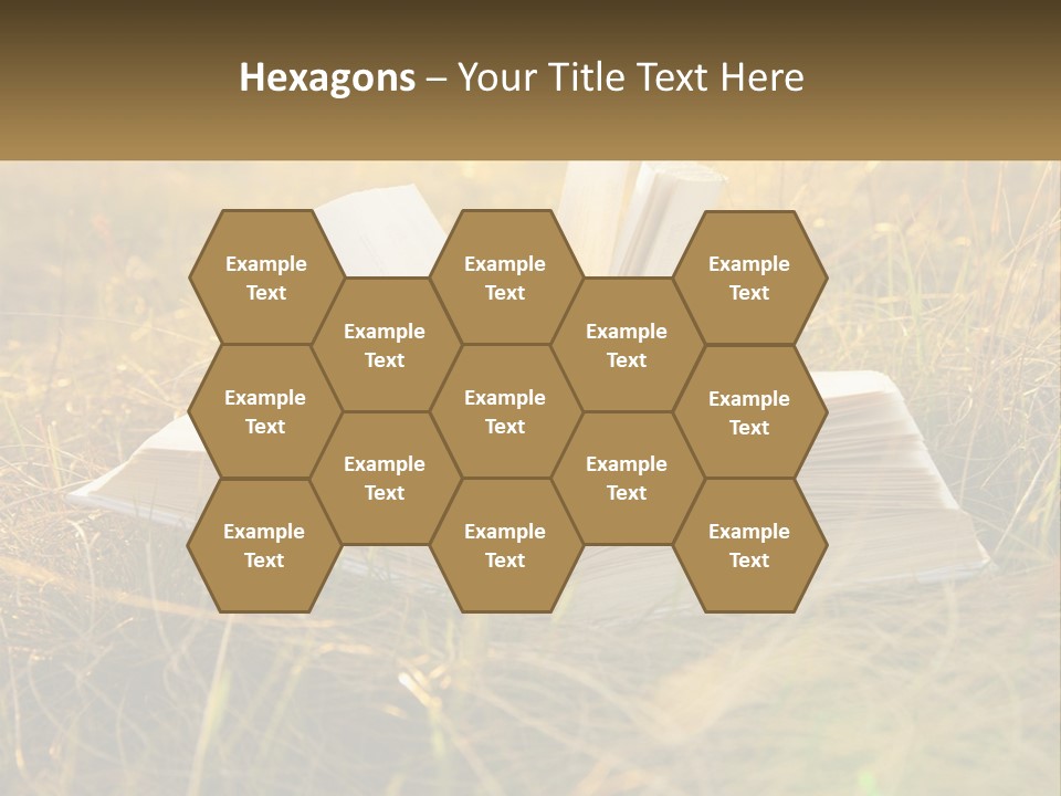 An Open Book Sitting On Top Of A Lush Green Field PowerPoint Template