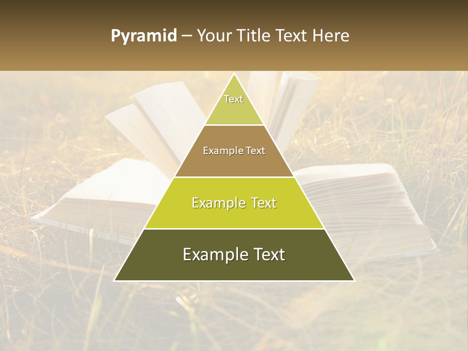 An Open Book Sitting On Top Of A Lush Green Field PowerPoint Template
