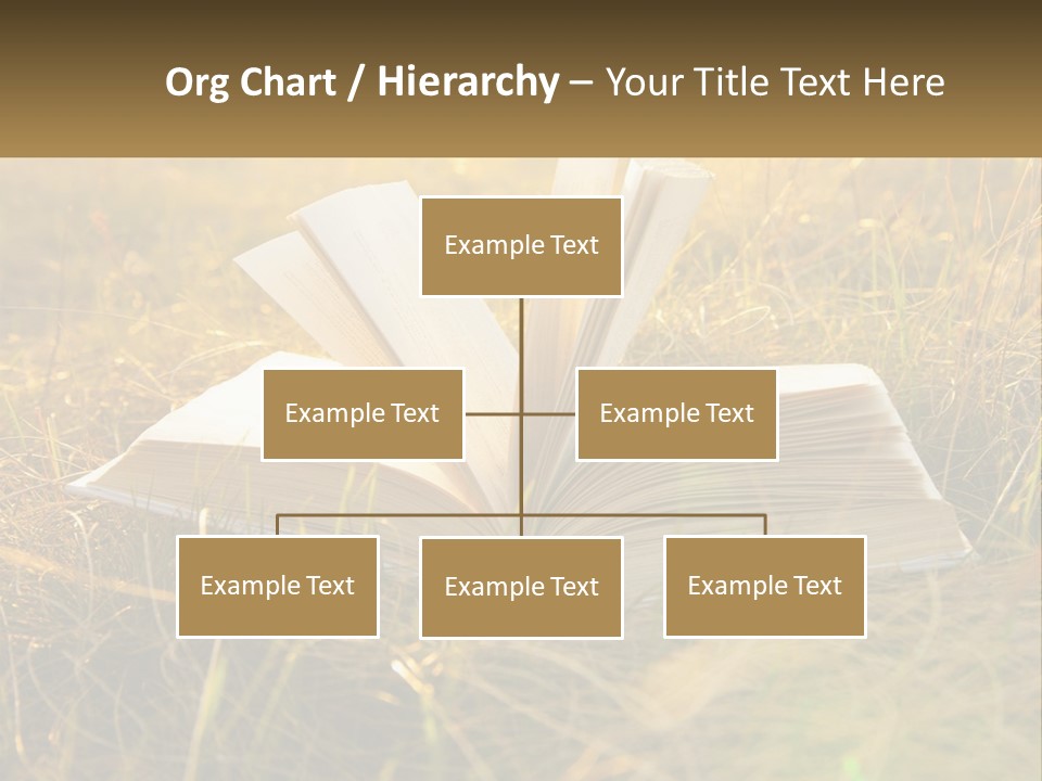 An Open Book Sitting On Top Of A Lush Green Field PowerPoint Template