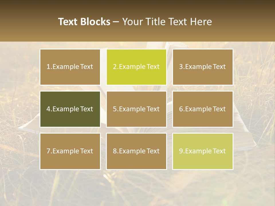 An Open Book Sitting On Top Of A Lush Green Field PowerPoint Template