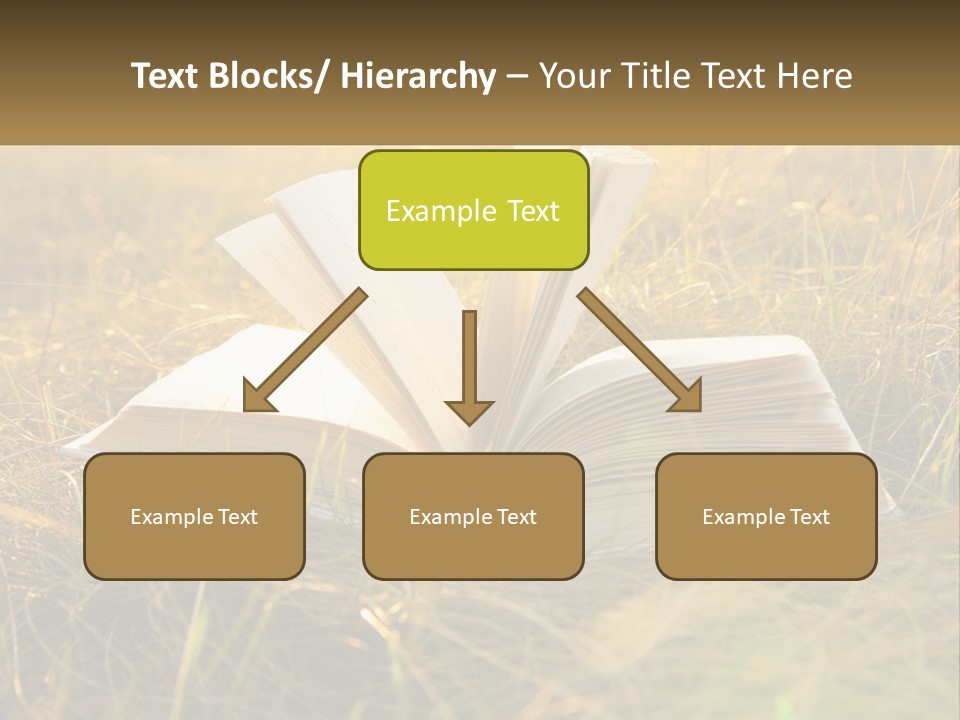 An Open Book Sitting On Top Of A Lush Green Field PowerPoint Template