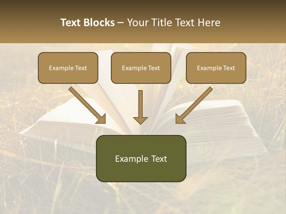 An Open Book Sitting On Top Of A Lush Green Field PowerPoint Template