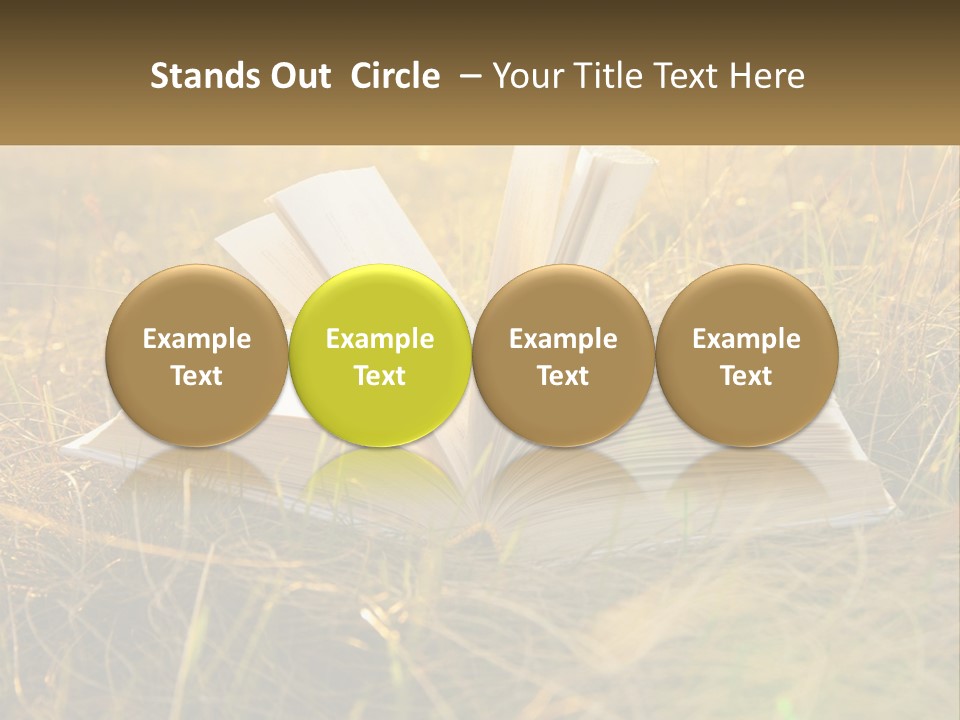 An Open Book Sitting On Top Of A Lush Green Field PowerPoint Template