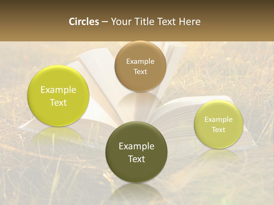 An Open Book Sitting On Top Of A Lush Green Field PowerPoint Template