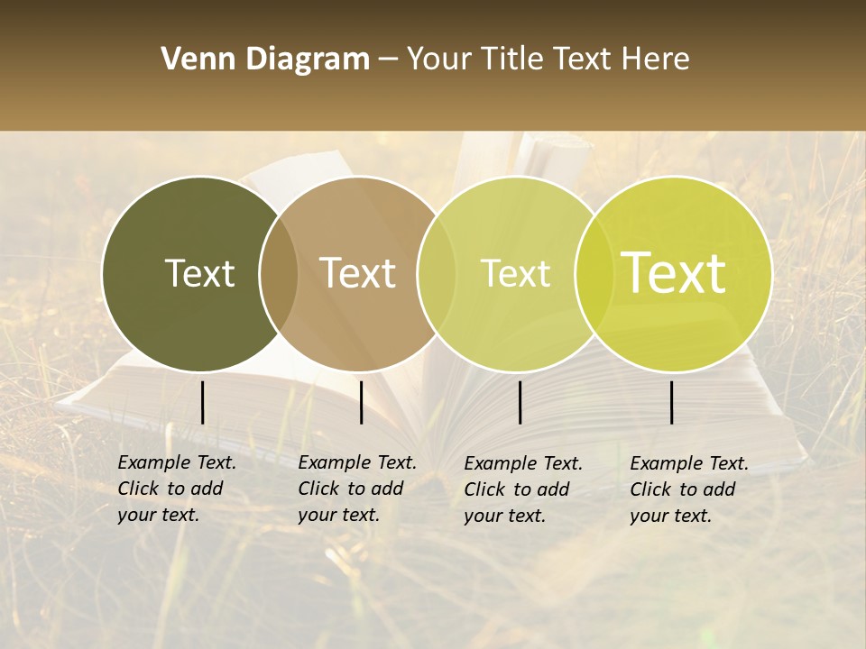 An Open Book Sitting On Top Of A Lush Green Field PowerPoint Template